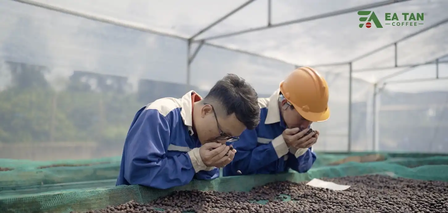 Quay phim TVC ngoài trời — GonVisual