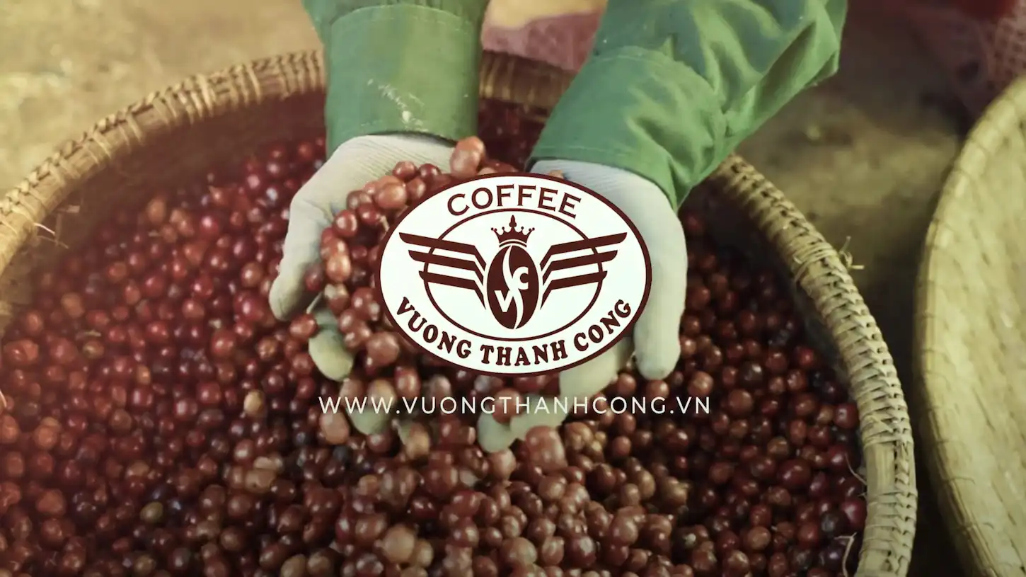 TVC sản phẩm cà phê nông sản — GonVisual